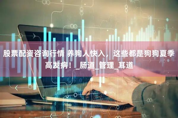 股票配资咨询行情 养狗人快入，这些都是狗狗夏季高发病！_肠道_管理_耳道